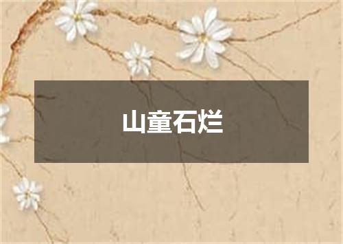 山童石烂