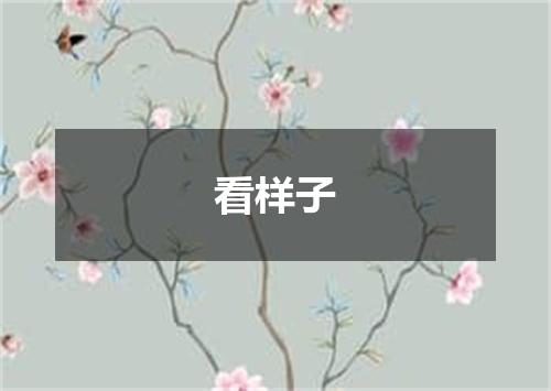看样子