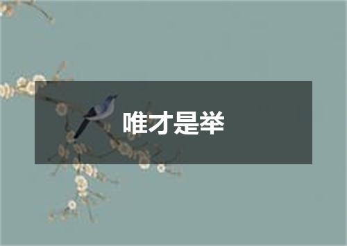 唯才是举