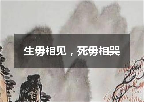 生毋相见，死毋相哭