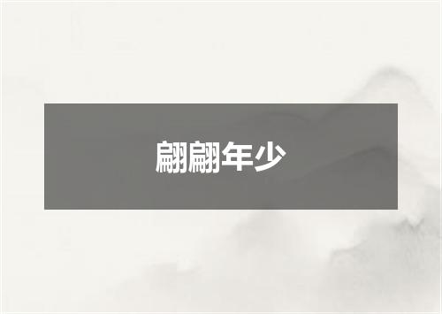 翩翩年少
