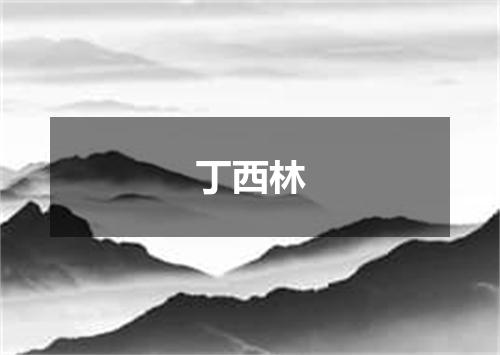 丁西林