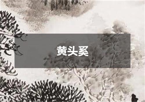 黄头奚