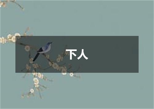 下人