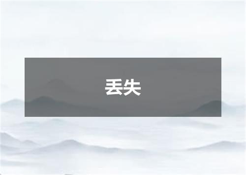 丢失