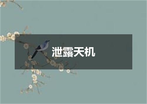 泄露天机