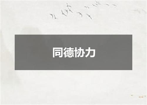 同德协力