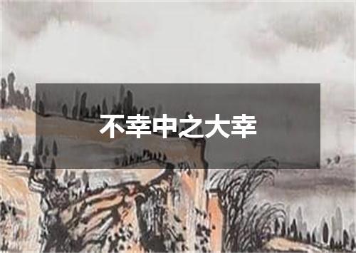 不幸中之大幸