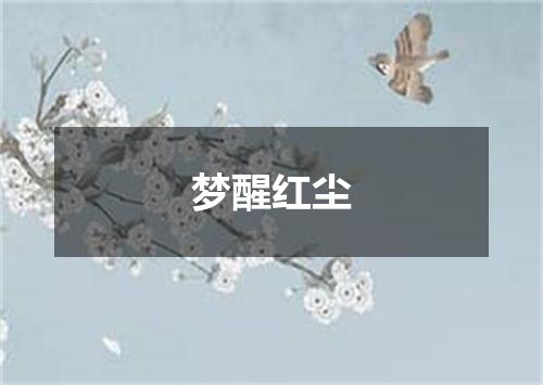梦醒红尘