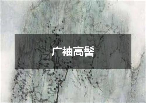 广袖高髻