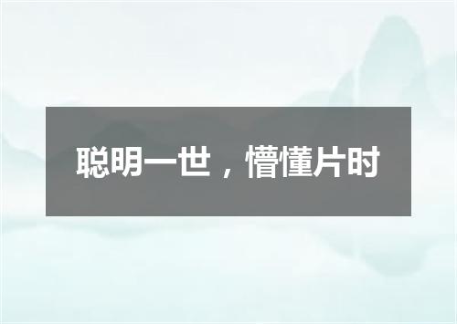 聪明一世，懵懂片时