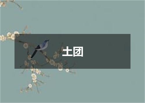 土团