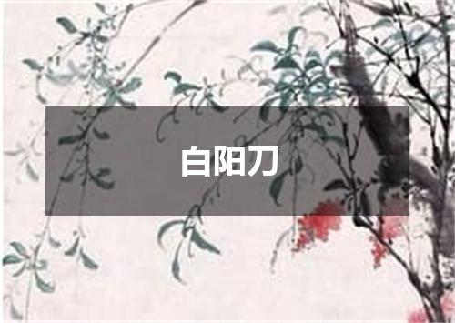白阳刀