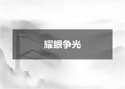 耀眼争光