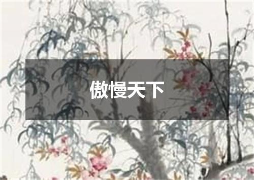 傲慢天下