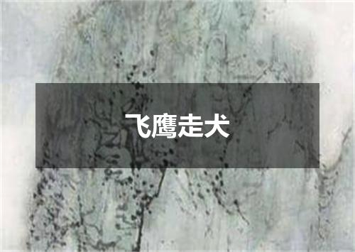 飞鹰走犬