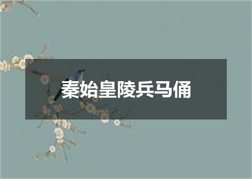 秦始皇陵兵马俑