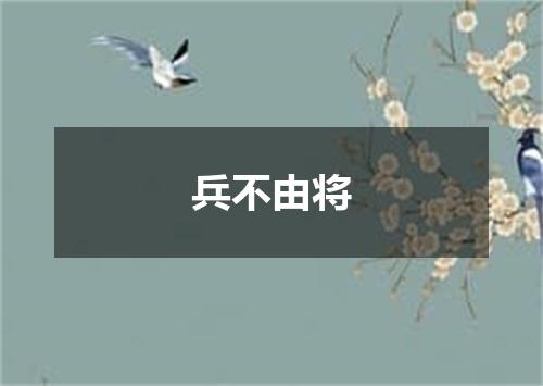 兵不由将
