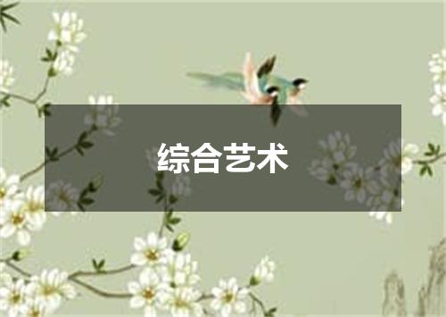 综合艺术