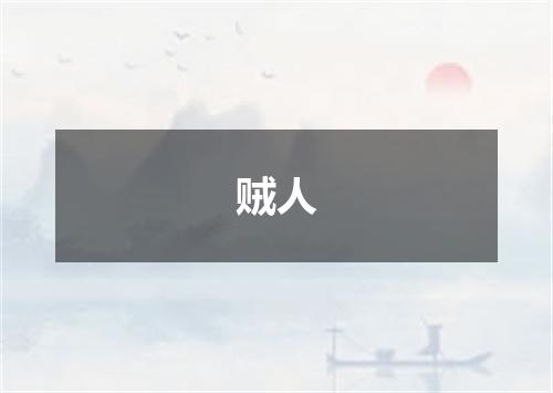贼人
