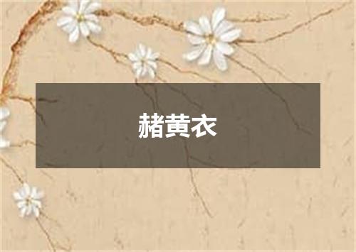 赭黄衣