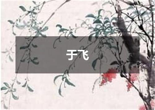于飞