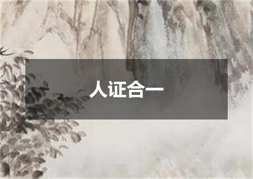 人证合一