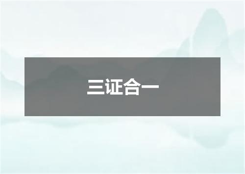三证合一