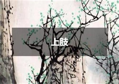 上肢