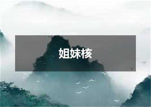 姐妹核
