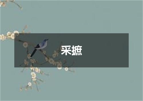 采摭