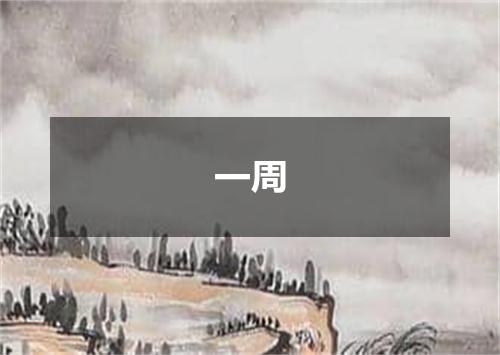 一周