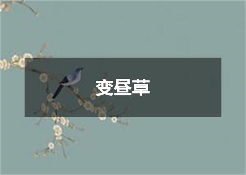 变昼草