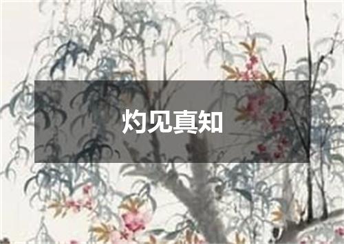 灼见真知
