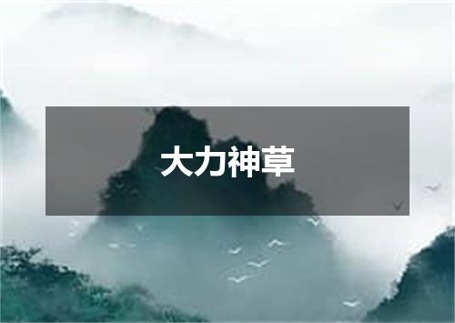 大力神草
