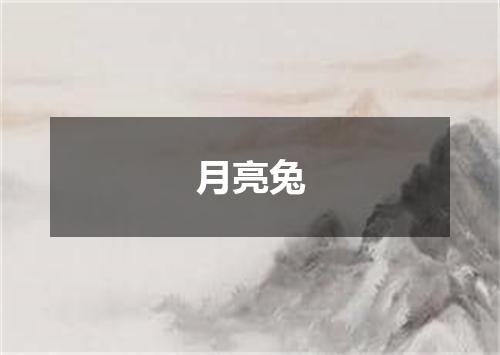 月亮兔