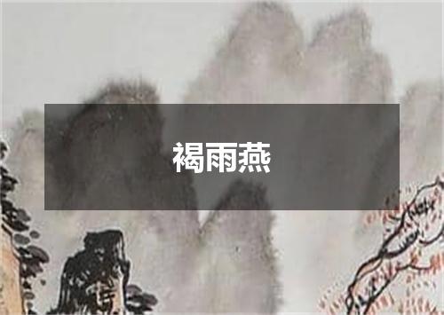 褐雨燕