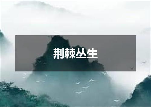 荆棘丛生