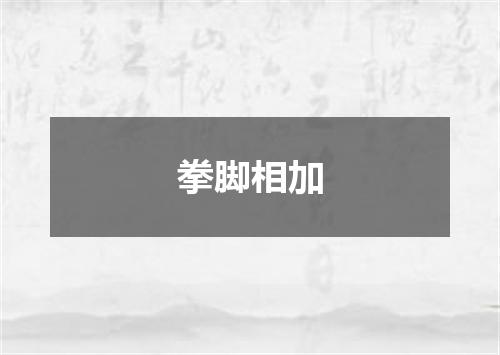拳脚相加