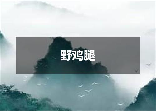 野鸡腿