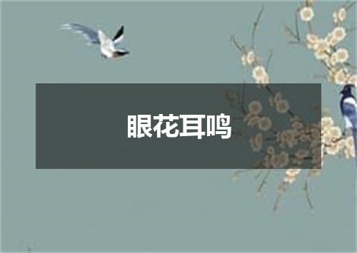 眼花耳鸣