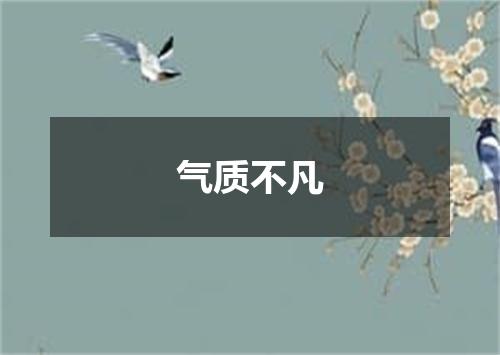 气质不凡