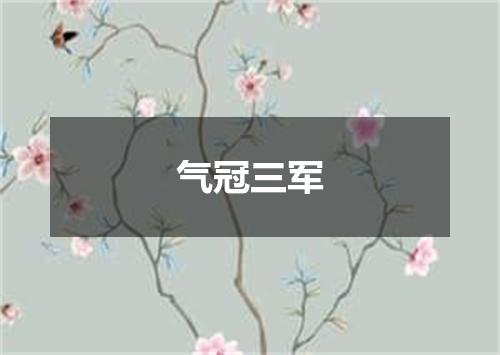 气冠三军