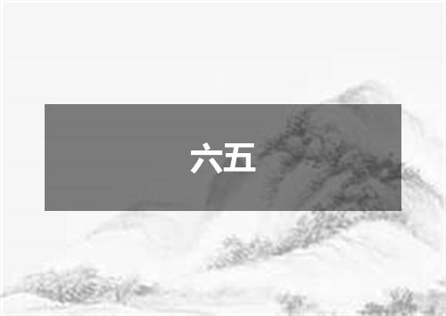 六五