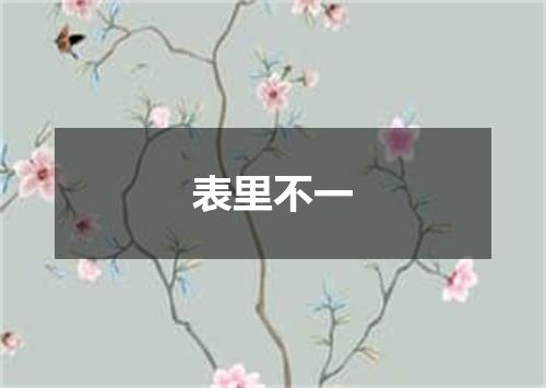 表里不一