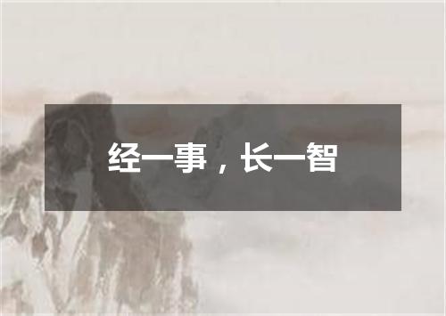 经一事，长一智