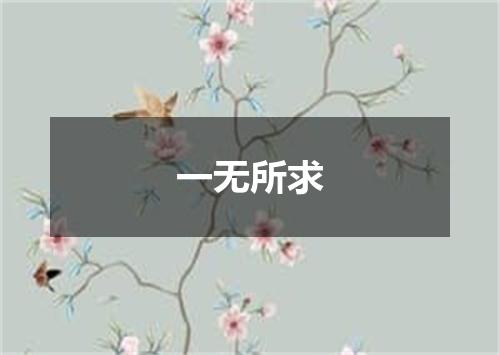 一无所求