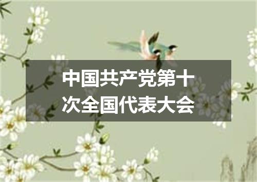 中国共产党第十次全国代表大会