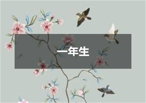 一年生