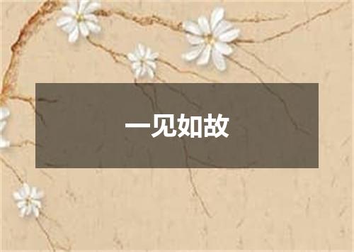 一见如故
